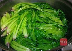 凉拌菠菜的做法图解4