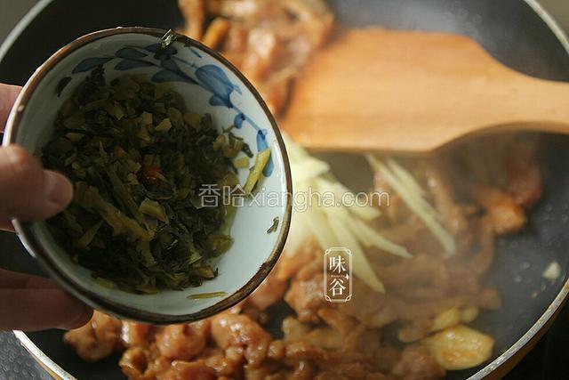 倒入姜丝，倒入清洗过的雪菜翻炒。