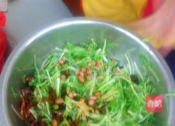 凉拌苦菊的做法图解3