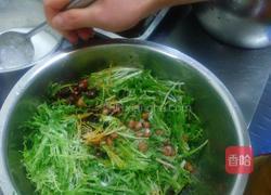 凉拌苦菊的做法图解4
