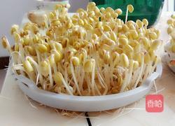 蚝油黄豆芽的做法图解2