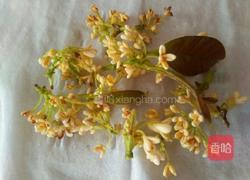 桂花茶的做法图解1