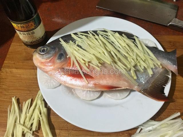 姜丝用一半铺在鱼身上