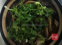 泥鳅烧老黄瓜的做法图解5