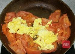 柿子炒鸡蛋的做法图解6
