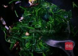 炝菠菜的做法图解9