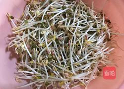 绿豆芽炒粉丝的做法图解1