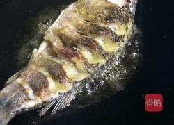 黄豆酱烧鲫鱼的做法图解4