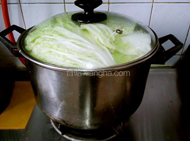 再铺上一层白菜，大火烧开，小火慢炖，大约七个小时，用筷子叉一叉海带，能叉透，所有的食材就都熟了