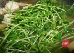 上汤豆苗的做法图解4