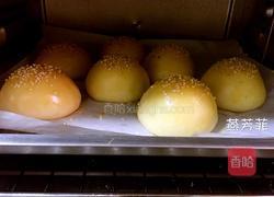 自制汉堡面包胚的做法图解12