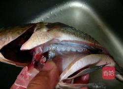 黄豆酱焖罗非鱼的做法图解3