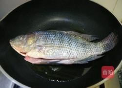 黄豆酱焖罗非鱼的做法图解6