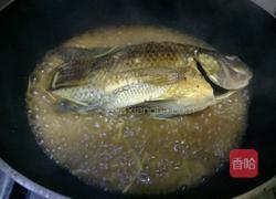 黄豆酱焖罗非鱼的做法图解9