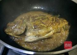 黄豆酱焖罗非鱼的做法图解10