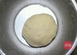 蜂蜜小餐包的做法图解4