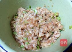 香葱小肉饼的做法图解5