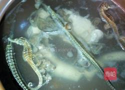 鹿尾巴海马海龙炖猪尾骨的做法图解3