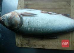 蚝油鲢鱼头的做法图解2