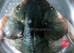 蚝油鲢鱼头的做法图解3