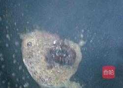 酱烧肉丸的做法图解3