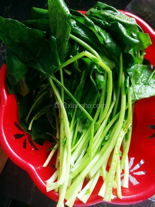 菠菜去根洗净，多洗两遍，菠菜很容易藏匿杂质