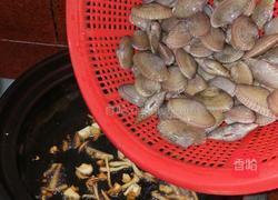 砂锅花甲的做法图解4