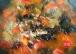 牛肉炖柿子的做法图解7