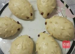 刺猬馒头的做法图解6