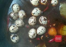 卤鹌鹑蛋的做法图解5