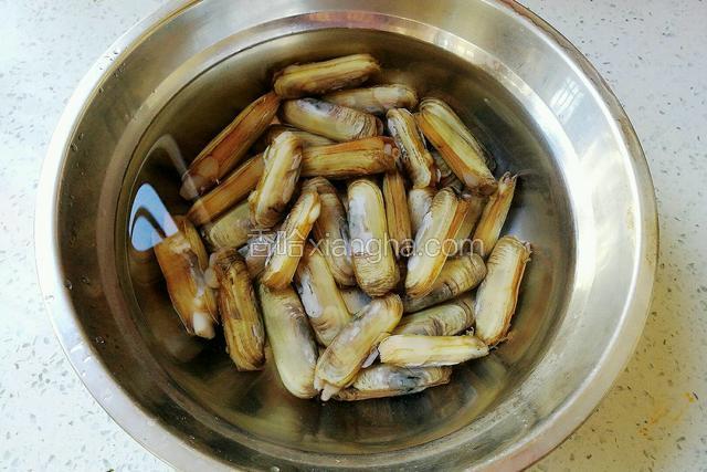 蛏子用淡盐水浸泡两小时，使其吐沙。