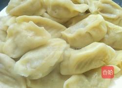 羊肉胡萝卜水饺的做法图解8