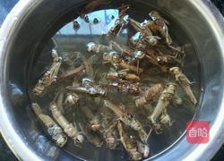 飞蝗腾达的做法图解1