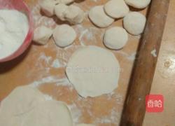 羊肉胡萝卜水饺的做法图解6