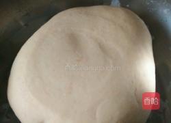 苜蓿饺子的做法图解2