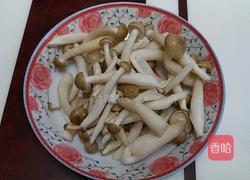 当归菌菇煮鸡的做法图解2