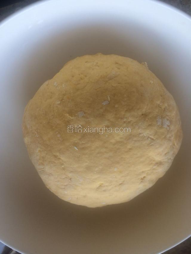 揉成团放温暖处发酵
