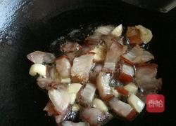 炒白菇的做法图解4