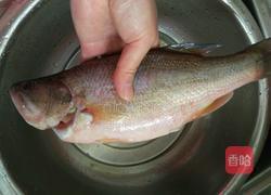豉油蒸鲈鱼的做法图解1