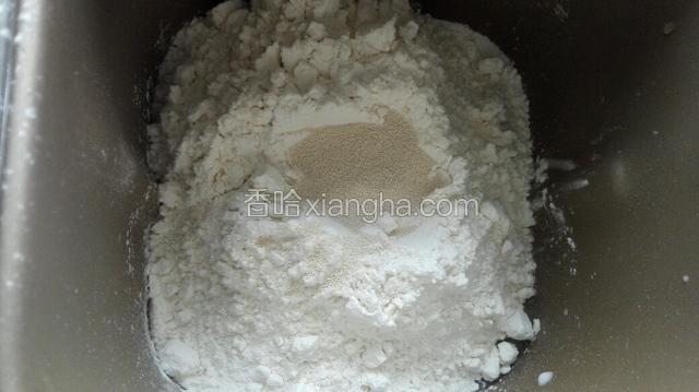 放入高筋粉，发酵粉最上面启动揉面功能！（开盖揉面）
