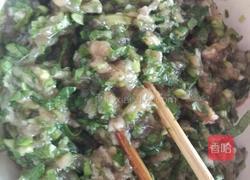 小白菜猪肉水饺的做法图解4