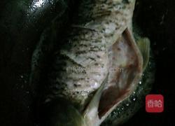 家常红烧鲤鱼的做法图解2