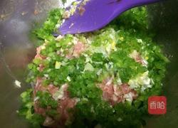 小白菜猪肉饺子的做法图解15