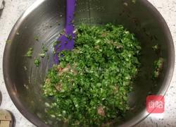 小白菜猪肉饺子的做法图解16