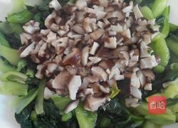 香茹扒油菜的做法图解6