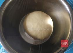 汤种椰蓉面包的做法图解7