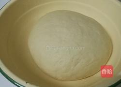 洗面筋的制作过程的做法图解1