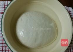 洗面筋的制作过程的做法图解2