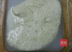 洗面筋的制作过程的做法图解18