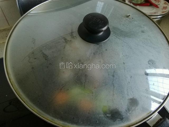 盖上锅盖，中火煮一小时；